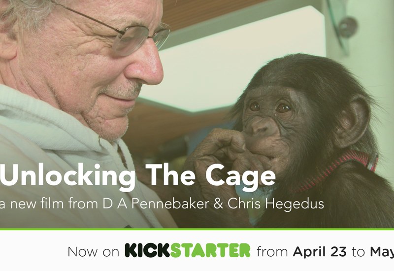 UnlockingTheCage_KickstarterTeaser-4